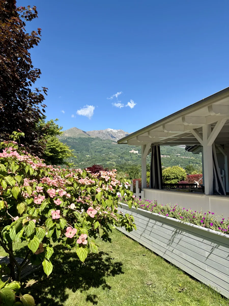 Ortensie in fiore accanto al portico con vista sulle montagne