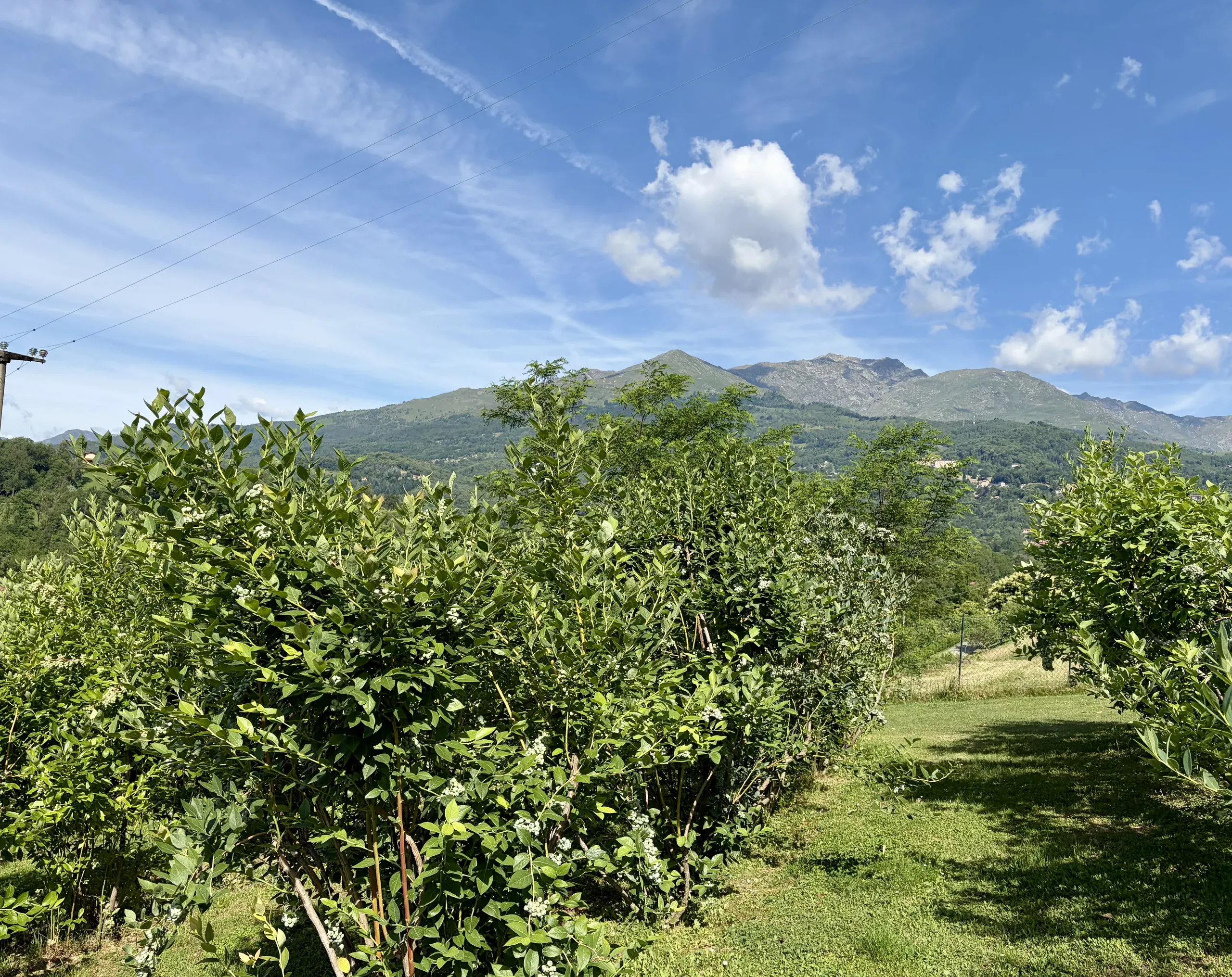 Vista aperta sulla collina e sulle montagne biellesi